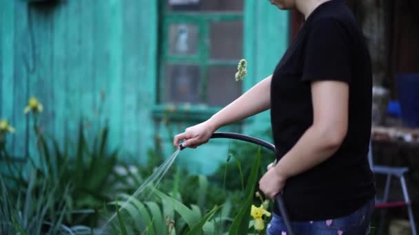 Mujer joven regando huerto de la manguera. Primer plano de riego femenino. Concepto de cuidado del verano y del jardín, productos orgánicos y estilo de vida ecológico . — Vídeos de Stock