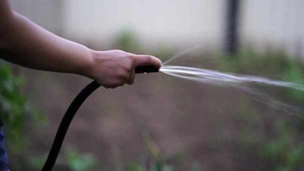 Detailní záběr ženských rukou zalévání zeleninové zahrady z hadice. Koncepce letní a zahradní péče, ekologické produkty a ekologický životní styl. — Stock video