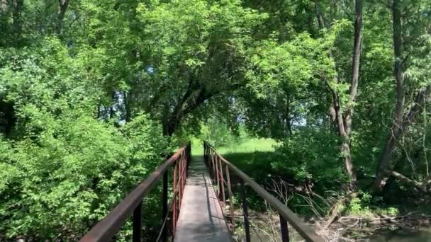 Пішохідний міст у сільській місцевості. Міст над річкою в сонячний літній день . — стокове відео
