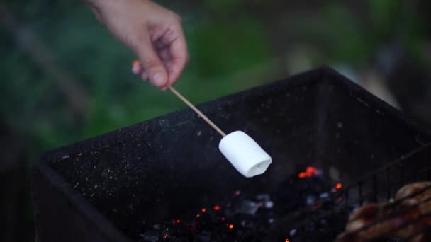 Primo piano di donne mano tiene spiedo con marshmallow oltre chargrill. Zephyr torrefazione femminile su carboni. — Video Stock