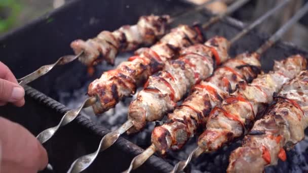 Sluiten Van Geroosterde Shashlik Spiesjes Sappige Barbecue Roosteren Chargrill — Stockvideo