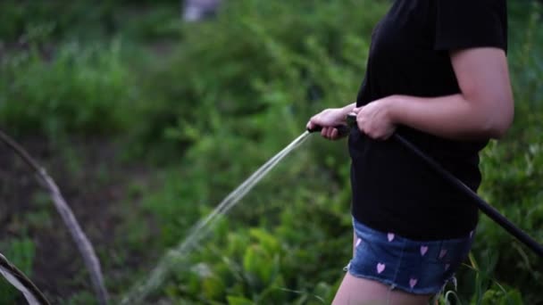 年轻女子用软管浇灌蔬菜园 接近女性的浇水 暑期及花园护理 有机产品及环保生活方式的概念 — 图库视频影像
