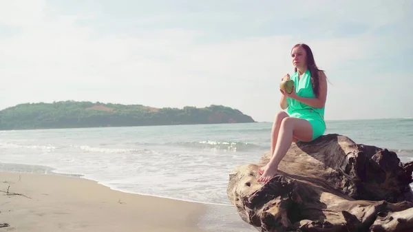 Beautiful Young Woman Sitting Log Drinking Coconut Sea Ocean Bright — Stock Photo, Image