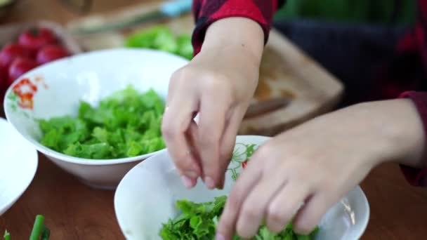 Primer Plano Las Manos Mujer Rasgando Lechuga Poniendo Plato — Vídeos de Stock