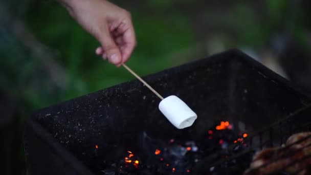 Primo Piano Della Mano Della Donna Tiene Spiedo Con Marshmallow — Video Stock