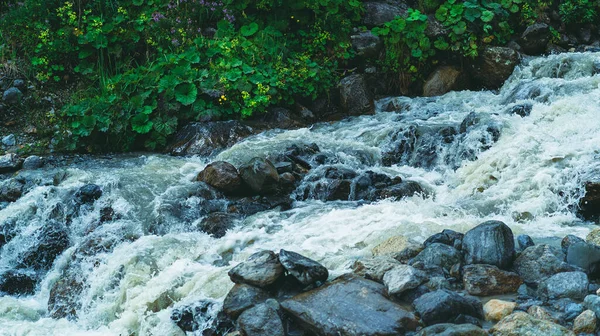 Быстрая Река Возле Зеленого Берега Быстрый Чистый Поток Текущий Камнях — стоковое фото
