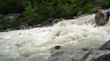 Dağ nehri taştan kıyıya doğru akıyor. Temiz su yolu güneşli havada taşların üzerinden akar..