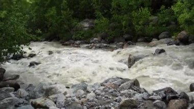 Dağ nehri taştan kıyıya doğru akıyor. Temiz su yolu güneşli havada taşların üzerinden akar..