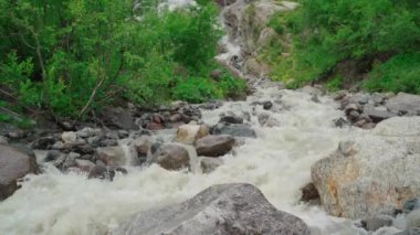 Yeşil kıyıya yakın hızlı nehir. Kırsal kesimde yeşil bitkilerle kıyıya yakın taşlarda akan hızlı ve temiz bir dere.