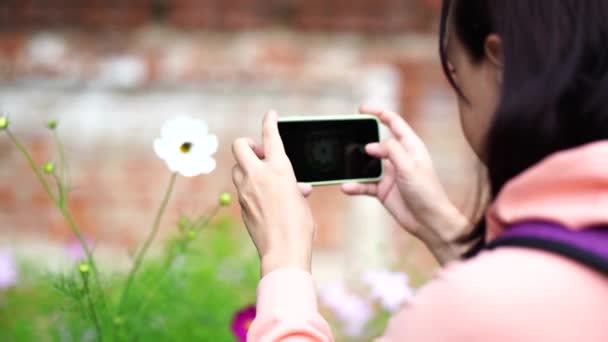 若い女性のクローズアップはスマートフォンで写真を撮ります 公園内の携帯電話で花を撮影する女性観光客 — ストック動画