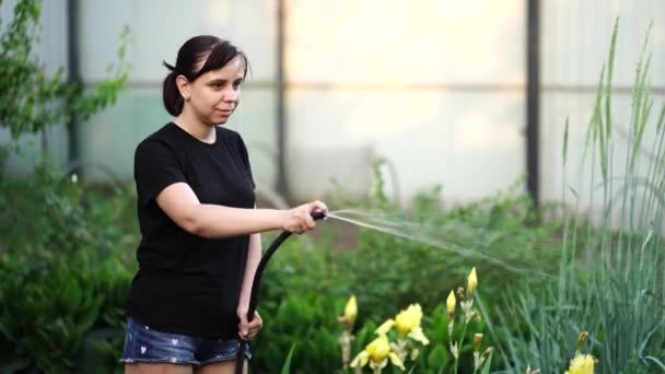 Жінка Поливає Сад Від Шланга Жінка Розбризкує Воду Овочах Садовим — стокове відео