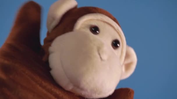柔软的木偶玩具放在蓝色的背景上 木偶表演的概念 与木偶猴的手部特写 — 图库视频影像