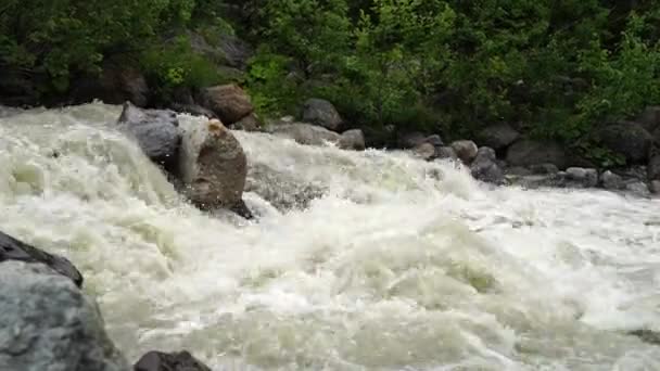 Fast River Green Shore Rapid Clean Stream Flowing Stones Coast — Stock Video