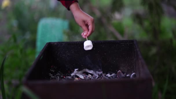 Close Mão Mulher Segura Espeto Com Marshmallow Sobre Chargrill Zéfiro — Vídeo de Stock