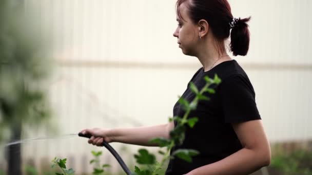 Πλαϊνή Άποψη Της Νεαρής Γυναίκας Πότισμα Λαχανόκηπο Από Σωλήνα Κοντινό — Αρχείο Βίντεο
