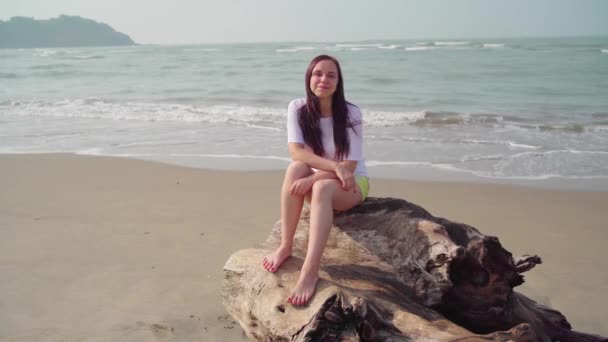 Entspannte Frau Sitzt Auf Baumstämmen Sandstrand Der Nähe Des Winkenden — Stockvideo