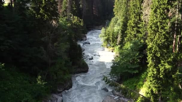 Rivière Montagne Coulant Près Côte Pierre Voie Navigable Propre Coule — Video