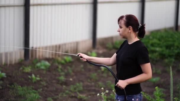 Woman Watering Garden Hose Female Spraying Water Vegetables Garden Hose — Stock Video