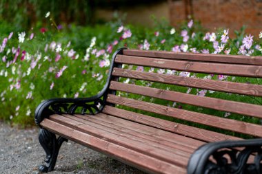 Parkland 'da çiçeklerin yanında yeni bir sıra.