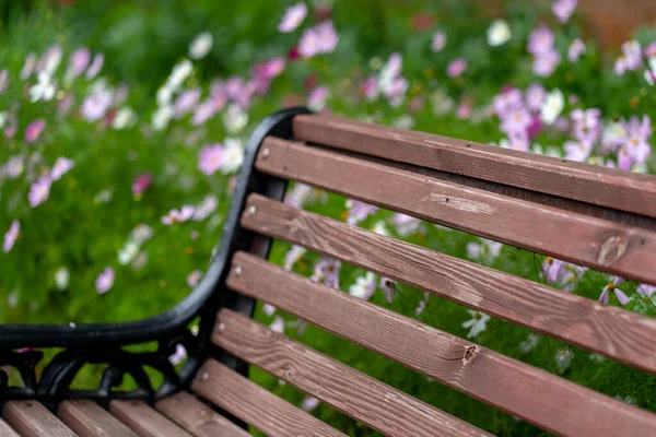 Neue Kirchenbank Der Nähe Von Blumen Park — Stockfoto