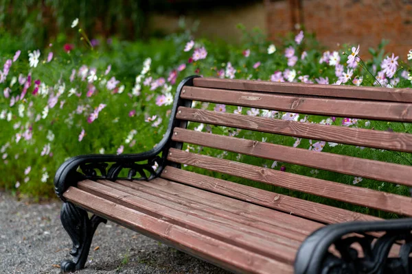 Neue Kirchenbank Der Nähe Von Blumen Park — Stockfoto