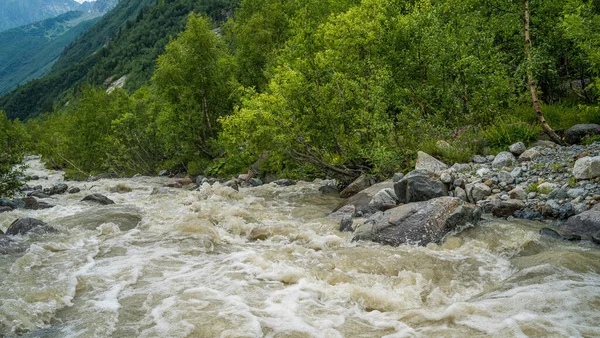 Rapido Flusso Pulito Che Scorre Pietre Vicino Alla Costa Con — Foto Stock