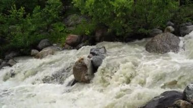 Dağlık bölgede akan su yolunu kapatın. Dağ nehri yazın ağaçlık alanda taşların arasından akar.