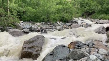 Dağ nehri taştan kıyıya doğru akıyor. Temiz su yolu güneşli havada taşların üzerinden akar..