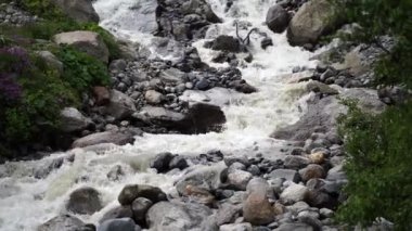 Dağ nehri taştan kıyıya doğru akıyor. Temiz su yolu güneşli havada taşların üzerinden akar..