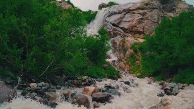 Dağlık bölgede akan su yolunu kapatın. Dağ nehri yazın ağaçlık alanda taşların arasından akar.