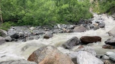 Dağlık bölgede akan su yolunu kapatın. Dağ nehri yazın ağaçlık alanda taşların arasından akar.
