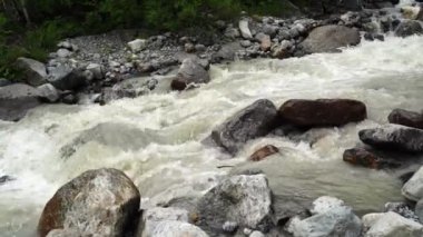 Dağlık bölgede akan su yolunu kapatın. Dağ nehri yazın ağaçlık alanda taşların arasından akar.