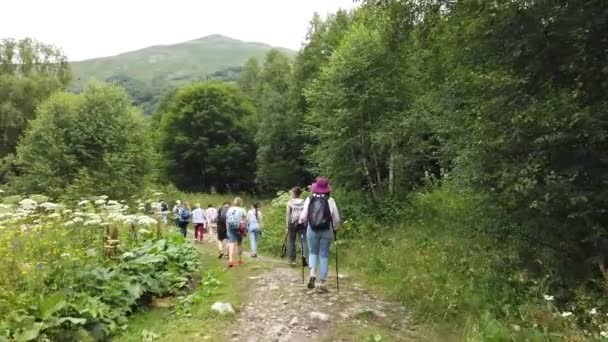 Skupina Lidí Chodí Túry Zalesněné Kopcovité Oblasti Zadní Pohled Ženu — Stock video