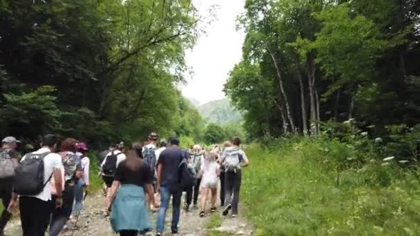 Група Людей Ходить Пішки Лісистій Горбистій Місцевості Вид Ззаду Жінки — стокове відео