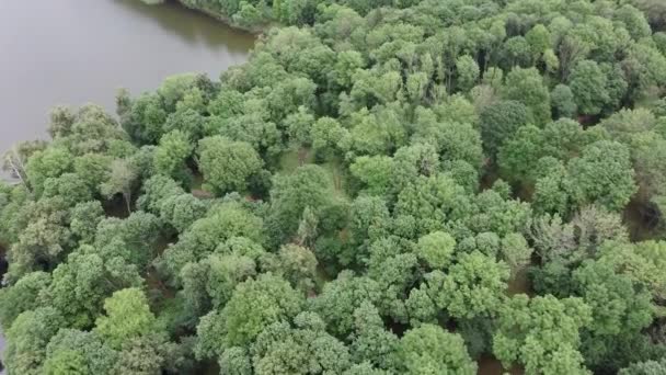 Laghetto Tranquillo Immerso Nel Verde Della Campagna Dall Alto Incredibile — Video Stock