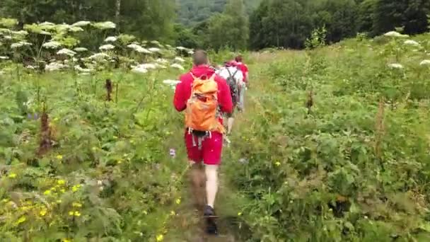 Grup Oameni Merg Drumeții Zona Împădurită Deluroasă Vedere Din Spate — Videoclip de stoc