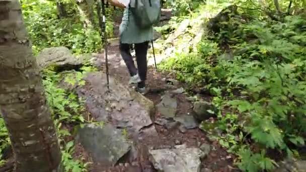 Bir Grup Insan Ormanlık Tepelik Alanda Yürüyüşe Çıkar Skandinav Kökenli — Stok video