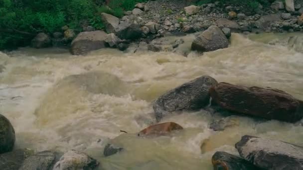 Primo Piano Del Corso Acqua Che Scorre Zona Montuosa Fiume — Video Stock