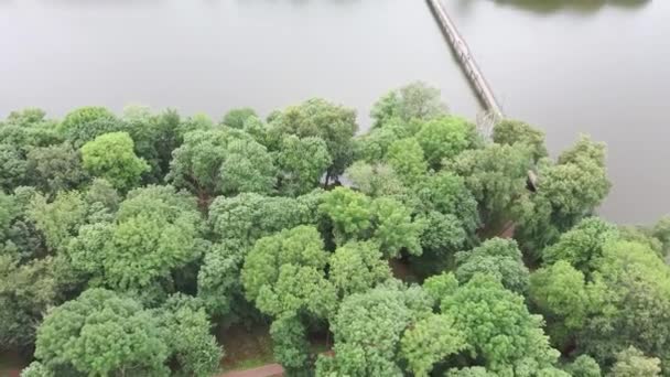 Lugn Damm Grön Landsbygd Från Ovan Fantastisk Sjö Med Lugnt — Stockvideo