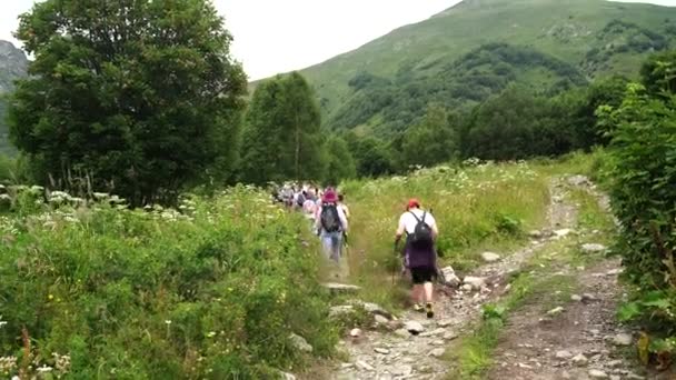 2020年7月26日 俄罗斯东湾 一群人去森林和山区徒步旅行 妇女在岩石路上行走的后视镜 — 图库视频影像