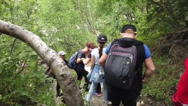 Dombay Ρωσία Ιουλίου 2020 Ομάδα Ανθρώπων Κάνουν Πεζοπορία Δασώδη Και — Αρχείο Βίντεο