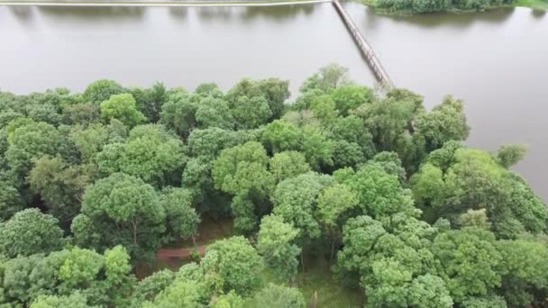 Lugn Damm Grön Landsbygd Från Ovan Fantastisk Sjö Med Lugnt — Stockvideo