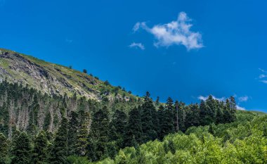 Güneşli bir günde parlak bulutlu gökyüzüne uzanan muhteşem kayaların zirveleri..
