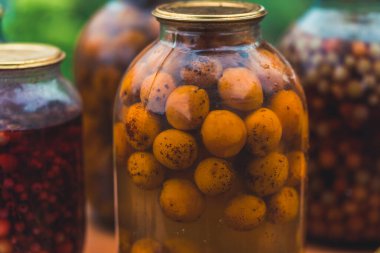 Kavanozlu kompot. Mühürlü cam kavanozlar ve kompot bahçedeki yaz günü çiçeklerin ve meyvelerin yanına konur..