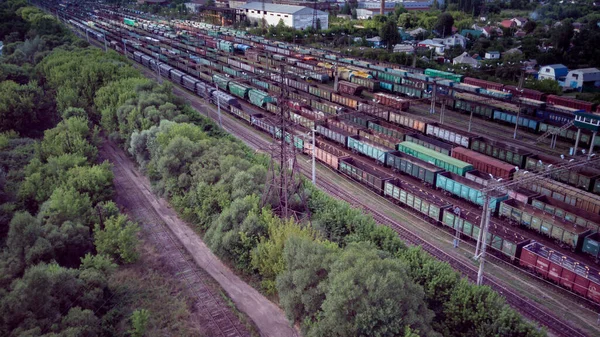 Légi Felvétel Vasútállomásról Vidéken Madártávlatból Vasúti Pályaudvar Tehervonatokkal Nyáron — Stock Fotó