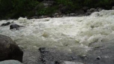 Dağlık bölgede akan su yolunu kapatın. Dağ nehri yazın ağaçlık alanda taşların arasından akar.