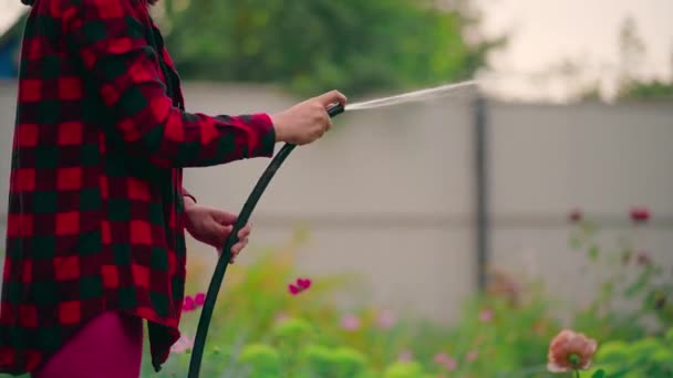 Detailní záběr ženských rukou zalévání zeleninové zahrady z hadice. Portrét ženy v domácnosti dvoření zahrady v létě. — Stock video