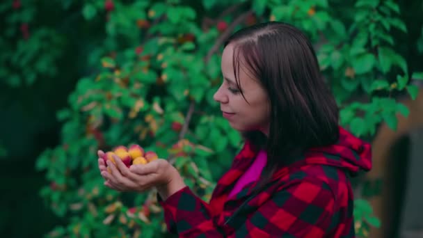 女性の手はアプリコットの木を背景に熟したアプリコットを保持します 庭の収穫の概念 — ストック動画