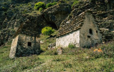 Yeşil dağlardaki antik taş evler. Güneşli yaz gününde, kayalık dağın yeşil çimenli yamacında yaşlanmış taş binalarla muhteşem bir manzara..