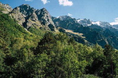 Mavi gökyüzünün altında ormanla kaplı bir dağ sırtı. Güneşli yaz gününde mavi gökyüzünün altında yeşil yemyeşil yemyeşil yapraklarla kaplı dağ yamaçlarının ve tepelerin manzarası..